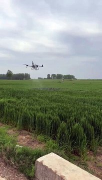 Z50P 50L Drones spray pesticides on wheat quickly and efficiently