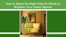 How to Select the Right Pots for Plants to Brighten Your Indoor Spaces