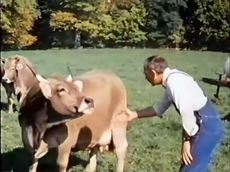 Pusteblume   07   Ein Schwein im Schaukelstuhl Peter auf dem Bauernhof