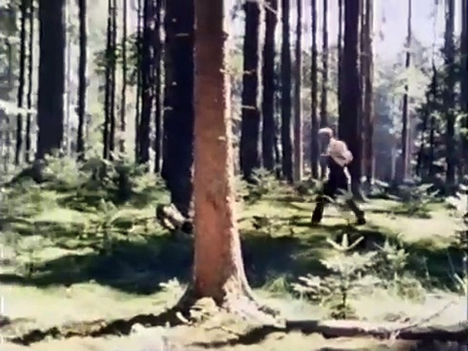 Pusteblume   08   Spuren im Wald Peter auf Spurensuche