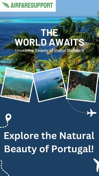 Air Fare Support Your Travel Companion