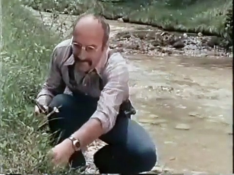 Pusteblume   11   Nasse Geschichten Peter geht dem Wasser nach