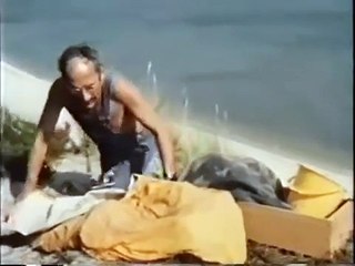 Pusteblume   12   Geschichten vom Meer Peter auf Seesternjagd