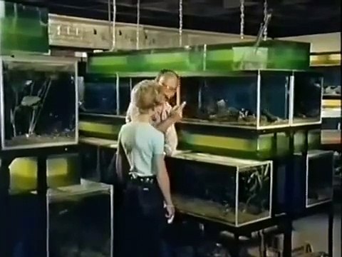 Pusteblume 15 Peter kommt auf den Hund Peter bekommt einen Hund