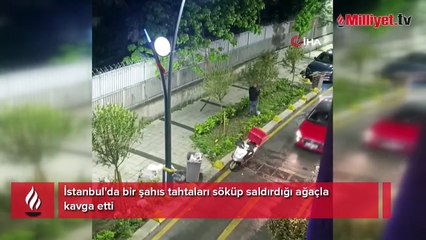 İstanbul'da bir kişi ağaçlara zarar verdi!