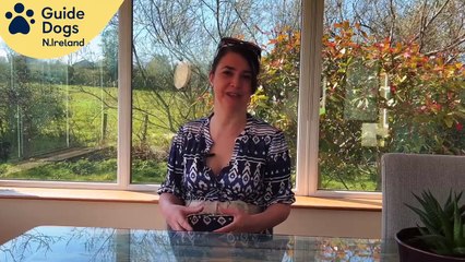 International Guide Dog Day