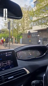 Two horses captured running through traffic in central London with one 'covered in blood'