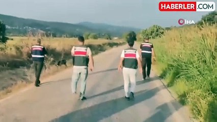 Ekonomist Korhan Berzeg'e ait bulguların peşine düşüldü