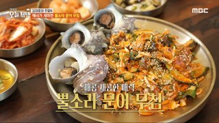 [Tasty] Seasoned hornbill octopus collected by the haenyeo herself ❤️, 생방송 오늘 저녁 240424