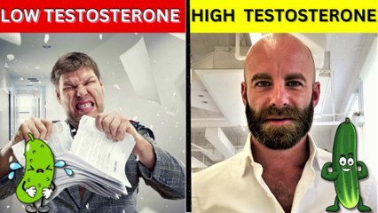 10 Reasons Why Testosterone is Necessary in Men || Role of Testosterone