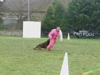 Entrée de face et de gdf virus sélectif 2008 Evreux