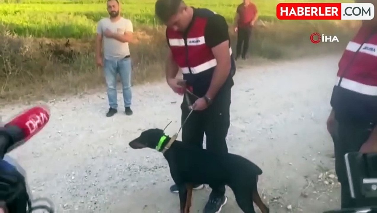 Korhan Berzeg kimdir? Korhan Berzeg nerede ölü bulundu, ne oldu?