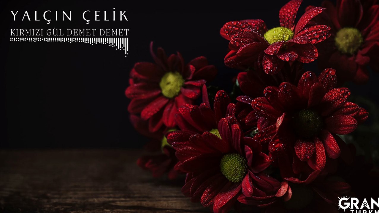 Yalçın Çelik - Kırmızı Gül Demet Demet (Official Audio)