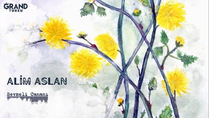 Alim Aslan - Sevmeli Cananı (Official Audio)