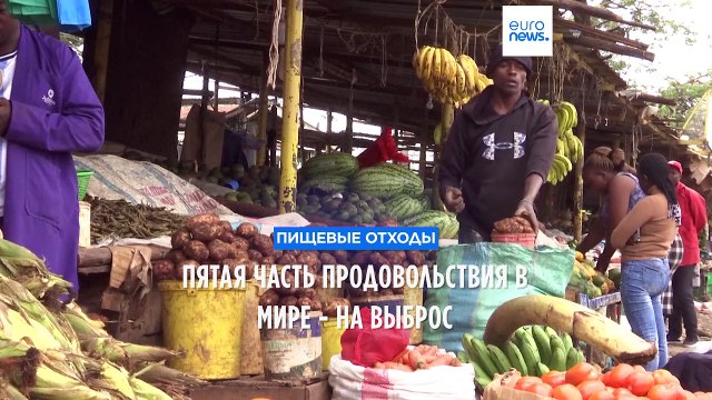 В мире отправляется в мусор почти пятая часть произведенного продовольствия