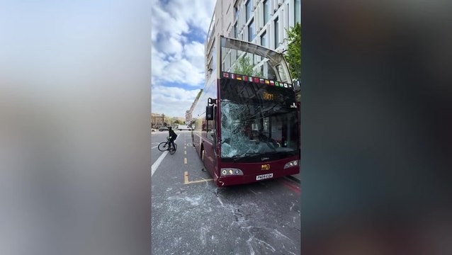 Loose blood-soaked Household Cavalry aftermath as horses cause chaos in central London with smashed vehicles and police at scene