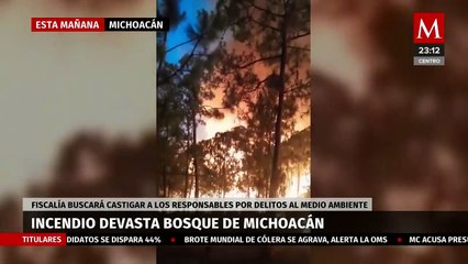 Soldados en acción para detener devastador incendio en Michoacán
