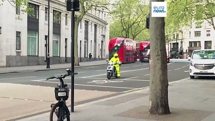 Several military horses run wild in London, injuring four people