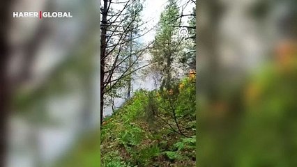 Kastamonu'da orman yangını: Ekipler müdahale etti