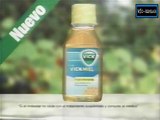 Vick Miel - Comercial - Venevision 2008