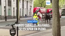 Varios caballos militares se desbocan en Londres hiriendo a cuatro personas