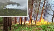 Kastamonu'nun Doğanyurt ilçesinde ormanlık alanda yangın