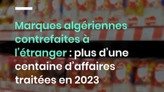 Marques algériennes contrefaites à l’étranger : plus d’une centaine d’affaires traitées en 2023