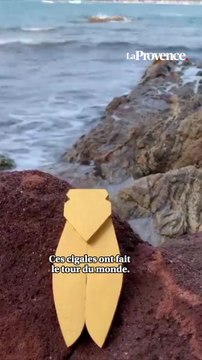 Ses cigales enchantent l'univers du luxe et de la déco de Paris à Tokyo