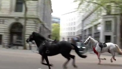 下载视频: Londres : des chevaux s’échappent en plein centre-ville, plusieurs personnes blessées