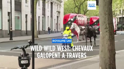 Wild West à Londres: chevaux militaires se déchaînent, blessant quatre personnes