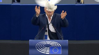 Un eurodiputado suelta una paloma en pleno hemiciclo del Parlamento Europeo para pedir la paz en Europa