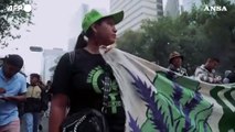 Messico, centinaia di persone in marcia per il Cannabis Day