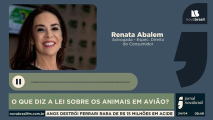 O QUE DIZ A LEI SOBRE OS ANIMAIS EM AVIÃO?