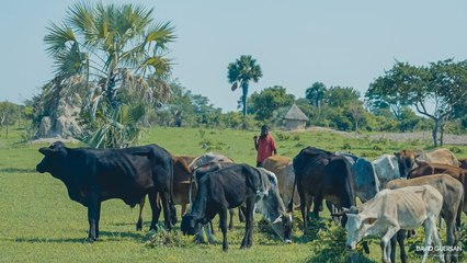 L'autre voyage vidéo bande annonce
