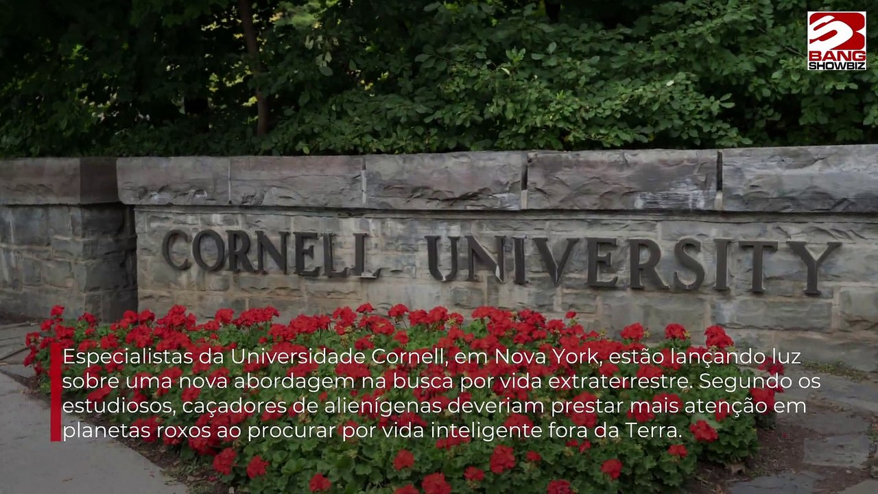 Planetas roxos podem ser chave na busca por vida extraterrestre, afirma especialista