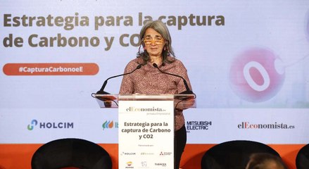 Jornada Captura De Carbono Y CO2 - Ana María Alonso Zarza