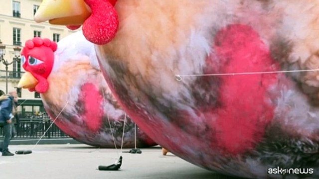Parigi, polli gonfiabili giganti contro gli allevamenti intensivi