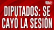 Por falta de quórum, cayó la sesión en Diputados para debatir el presupuesto universitario y las jubilaciones