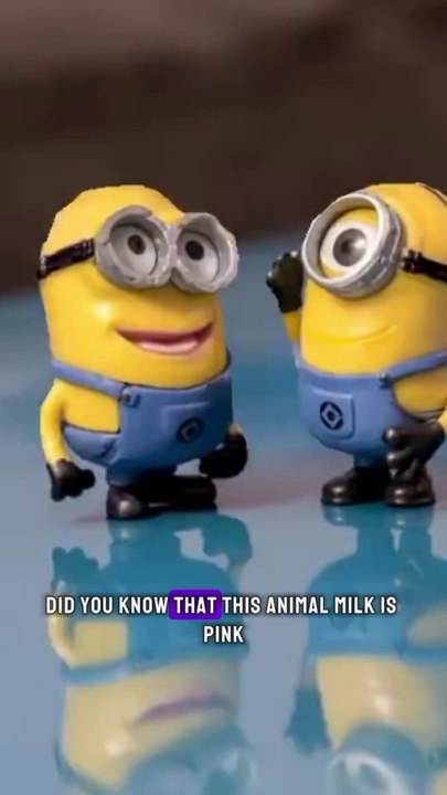 This animal milk is pink 