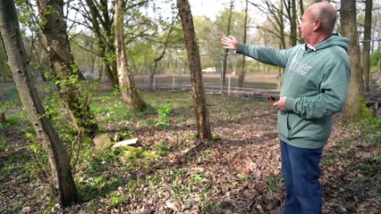 Bitter Chesterfield neighbour boundary dispute has been settled in court - after raging for 30 years