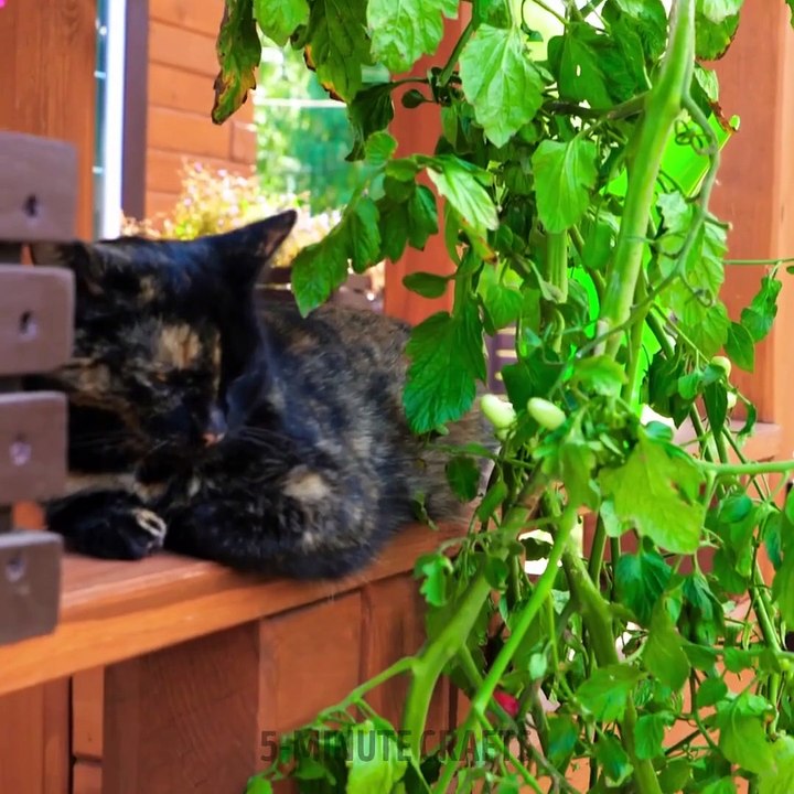 How to Unleash Your Inner Gardener and Transform Plants into Paradise