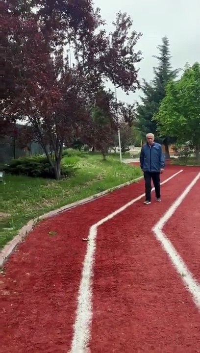devlet bahçeli