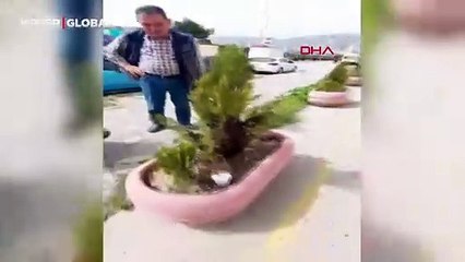 Oğul veren arı sürüsünün görüntülendiği yer şaşırttı