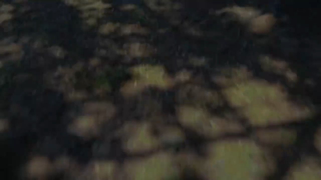 Christian Movie _ Where Is My Home_ Heartwarming and Touching Family Movie  part 1