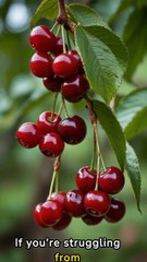 5 Random Facts About Fruits