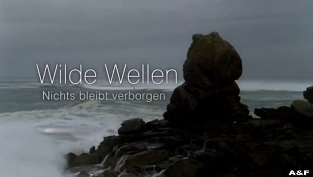 Wilde Wellen -03- Der Sturz