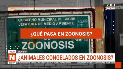 Animales congelados en zoonosis