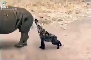 Video funny video lucu video kocak