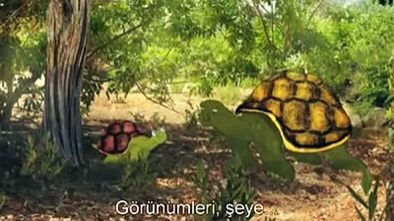 Kamuflaj nedir