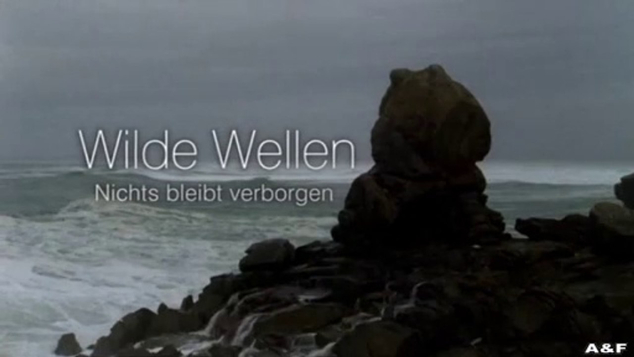 Wilde Wellen -04- Die Erlösung